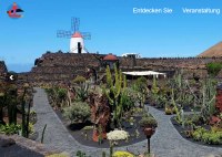 cactlanzarote